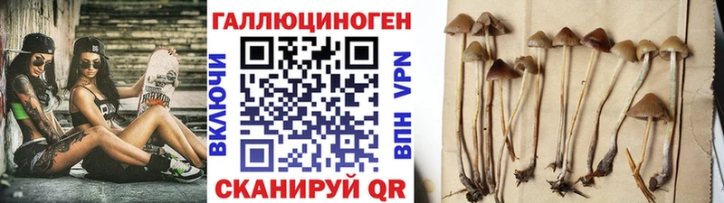 Псилоцибиновые грибы Magic Shrooms наркота Глазов